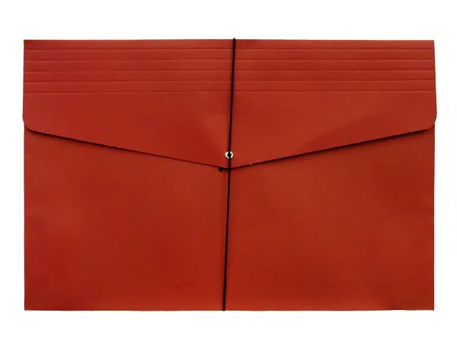 EXPANDABLE ENVELOPE MINI