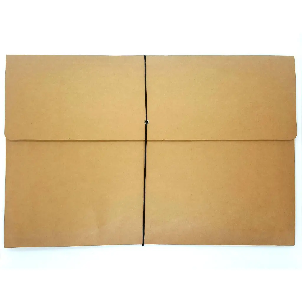 SCHOOL SUPPLIES:EXPANDABLE ENVELOPE - LONG (BIG) 