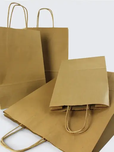 KRAFT PAPER BAG WITH HANDLE - SMALL 